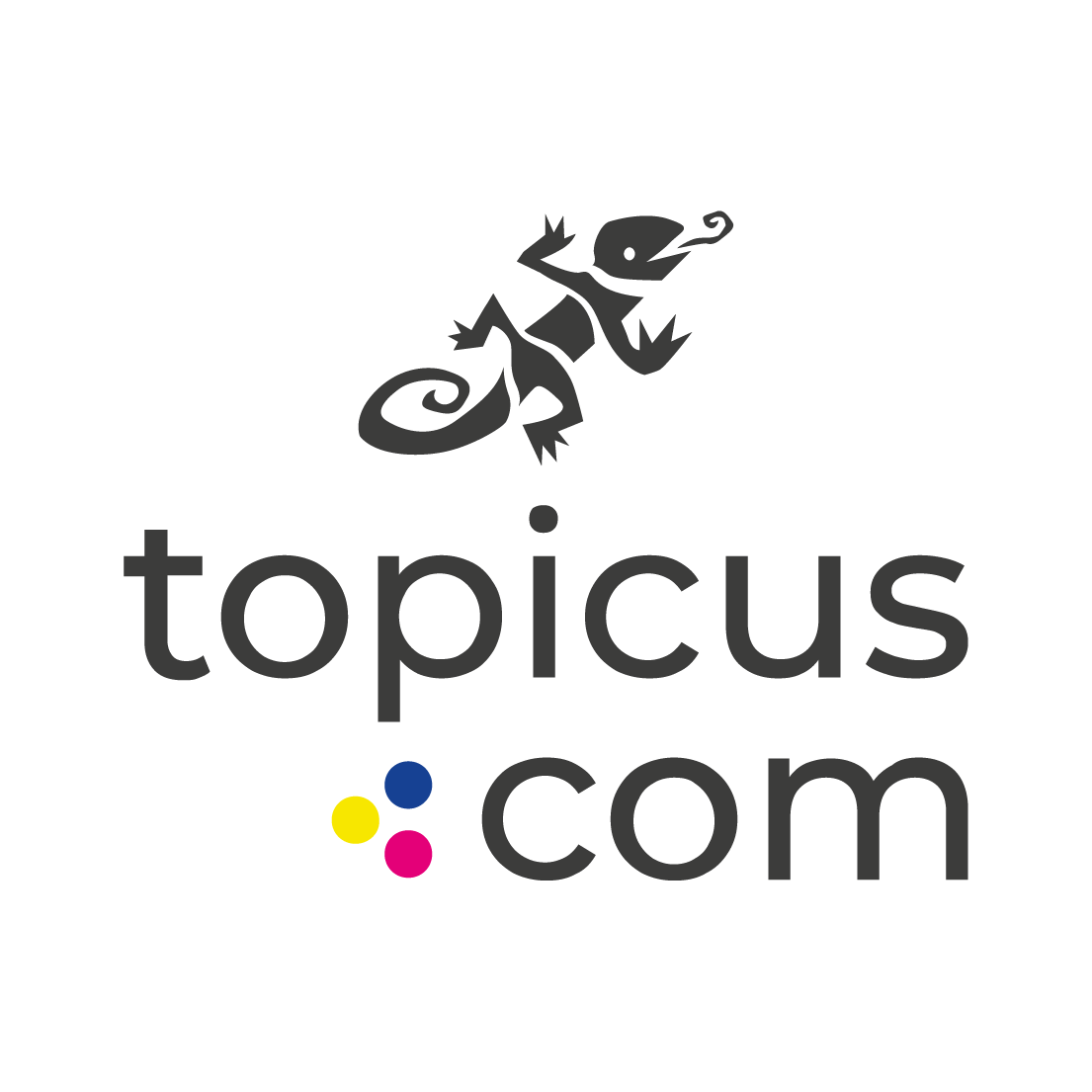Topicus-Chiclet